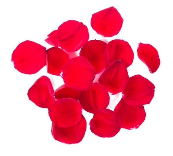 BOGO SALE - Red Rose Petals, 300ct - Romantic Anniversary Decorating Ideas