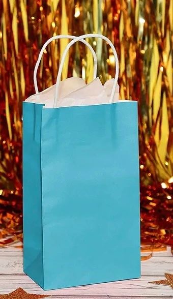 Aqua Blue Paper Gift Bags, 9in - 2 Bags