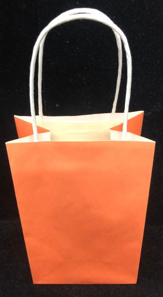 Coral Paper Gift Bags, 9in - 2 Bags - Peach