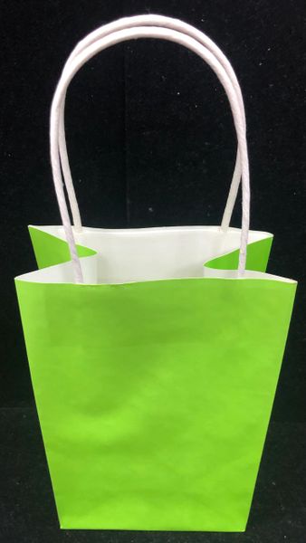 Kiwi Green Paper Gift Bags, 9in - 2 Bags