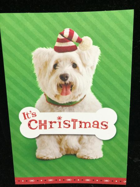 Merry Christmas Card, White Small Dog - by Ambassador - 1ct