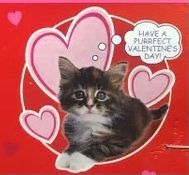 Happy Valentines Day Cutouts: Kittens, Cats, Funny Sayings - Door, Window Valentines Decorations, 13in - 3ct - Cat Decorations