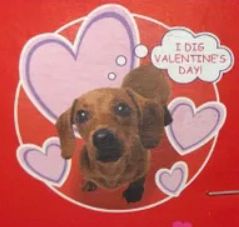 Happy Valentines Day Cutouts: Puppy Dogs, Funny Sayings - Door, Window Valentines Decorations, 13in - 3ct - Dog Decorations