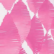 *Hot Pink Fringe Crepe Streamer Party Decorations, 9ft