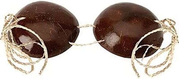 Hawaiian Coconut Shell Bra