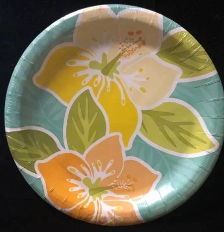 BOGO SALE - Hibiscus Flower Luau Party Luncheon Plates, 9in - 8ct - Hawaiian - Tropical