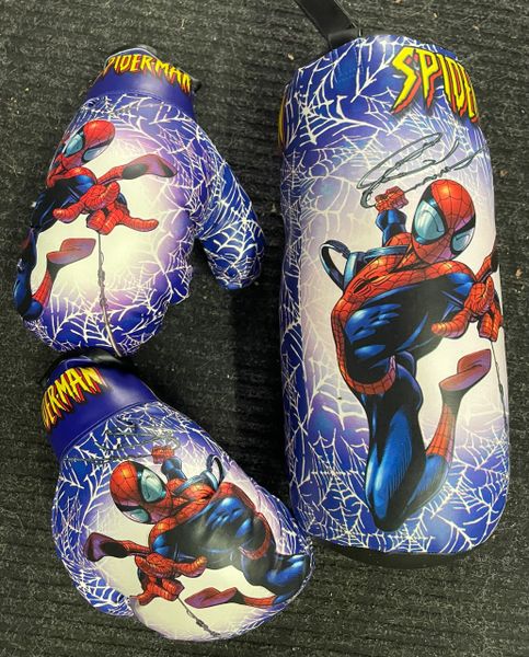 Kids Spider-Man Punching Bag & Glove Set, Boxing Gloves