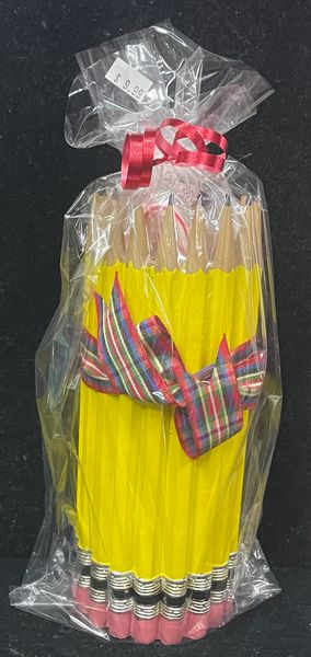 Teacher Gift & Gift Bag: Pencil Holder, 8in