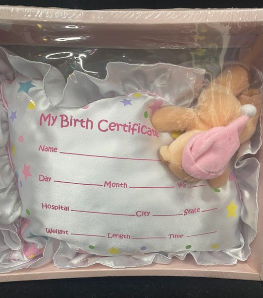 Baby Girl Birth Certificate Pillow Keepsake with Teddy Bear Laying in Top - Baby Shower