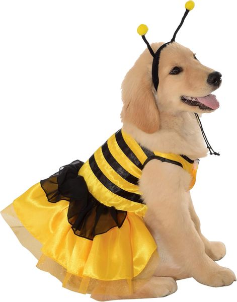 *Bumble Bee Dog, Pet Costumes - Halloween