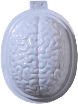 BOGO SALE - Plastic Brain Mold - Halloween Sale