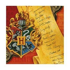 BOGO SALE - Rare Harry Potter Birthday Party Beverage Napkins, 16ct - Order of the Phoenix