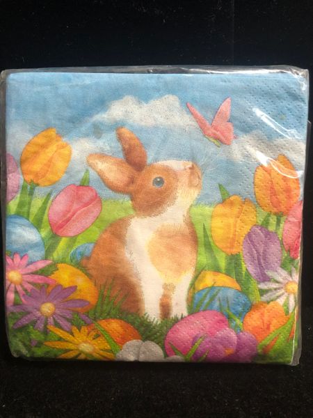 Spring Time, Easter Bunny Beverage Napkins, 16ct