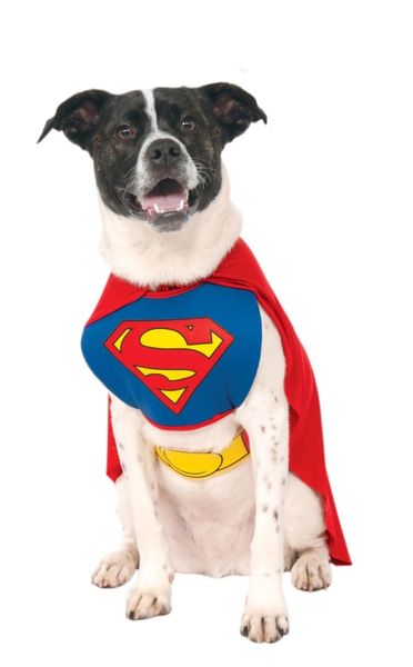 Superman Dog, Pet Costume - Size Medium - Licensed - Halloween Sale - under $20