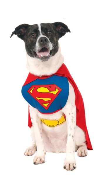 *Superman Dog, Pet Costumes - Size Medium - Halloween