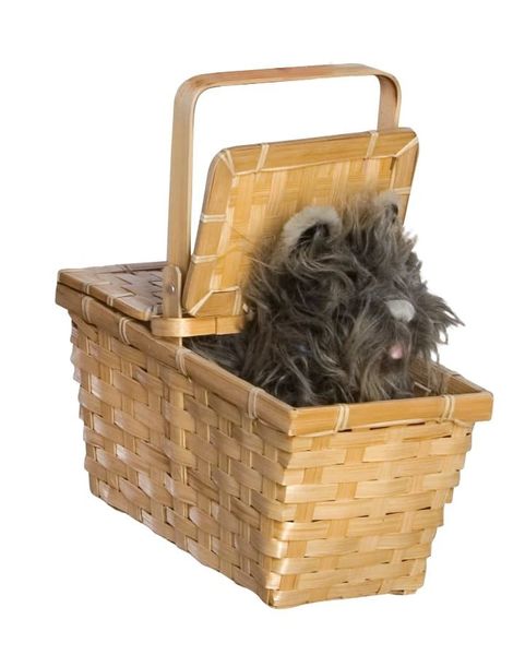 Toto Dog in a Basket - Deluxe Wizard of Oz Dorothy - Licensed - Halloween Sale