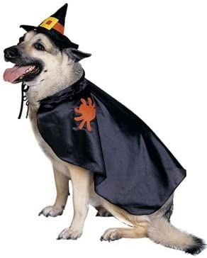 Witch Dog, Pet Costume, Large 18-20in - Halloween Spirit - under $20 - Halloween Sale