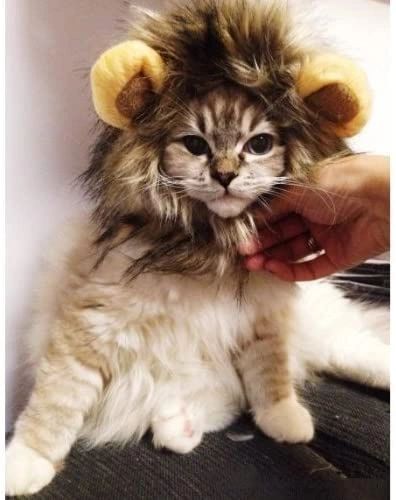 Furry Lion Pet Dog, Cat Costume Wig with Ears - under $20 - After Halloween Sale