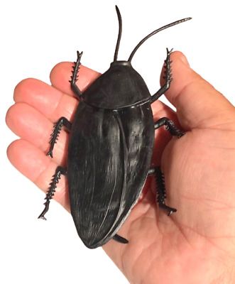 BOGO SALE - Fake Jumbo Cockroach Prank - Purim