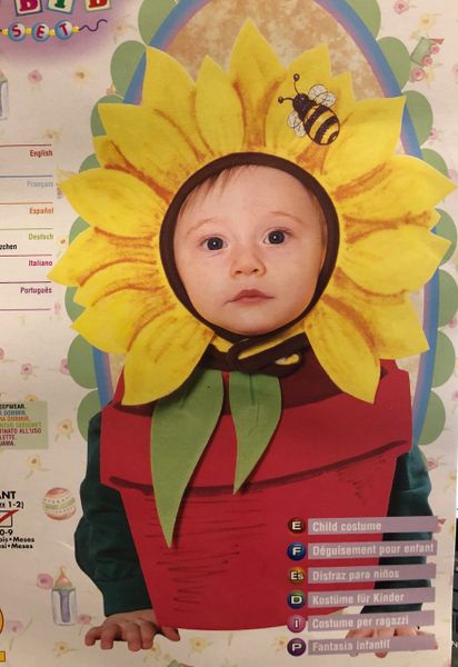 Baby Bib and Bonnet Costume, Yellow Sunflower Petals, Red Planter Pot Cover, up to 6 months - Purim - After Halloween Sale - Thanksgivng
