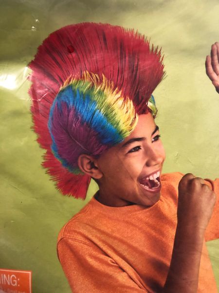 *Rainbow Mohawk Wig Costume Accessory, Boys - Halloween