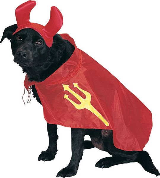 SALE - Red Devil Pet Costume, Dog - Medium 14-16in - Halloween Sale - under $20