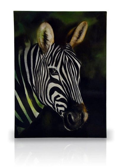 sku#6000 Zebra study #1