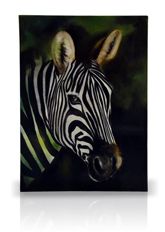 sku#7000 Zebra - DVD #1