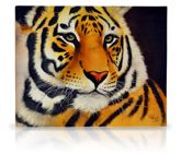 sku#7003 Tiger - DVD #4