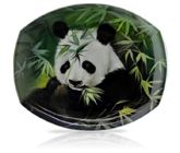 sku#7004 Panda - DVD #5