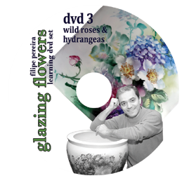sku#7102 Wild Roses & Hydrangeas #3 - DVD - Flower