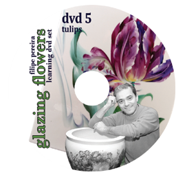 sku#7104 Tulips #5 - DVD - Flower