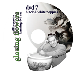 sku#7106 Black & White Poppies #7 - DVD - Flower