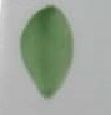 sku#2905 Leaf Green - Floral, paint - 6 grams