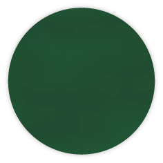 sku#2704 Darkest Green , paint - 6 grams
