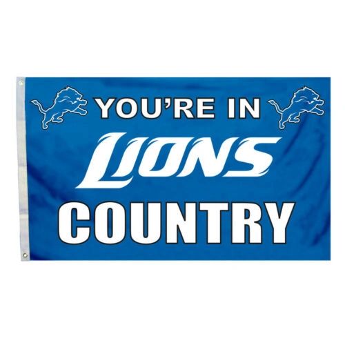 Detroit Lions You're In Country Banner Flag 3' x 5' NFL Licensed