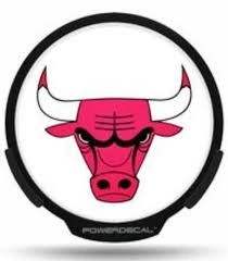 Chicago Bulls LED Window Decal Light Up Logo Powerdecal NBA