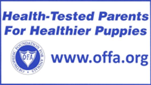 Health tastes parents