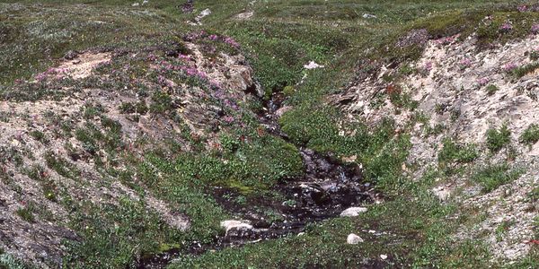 Spring and seep sourced stream on the glaciated portion of the Teslin Plateau, BC