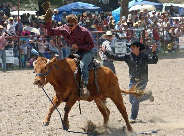 Wildcow Team Ride (3 participants)