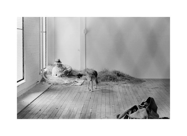 Stephen Aiken: Untitled No. 2, Joseph Beuys, New York, 1974