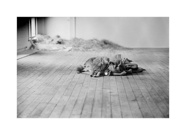 Stephen Aiken: Untitled No. 1, Joseph Beuys, New York, 1974