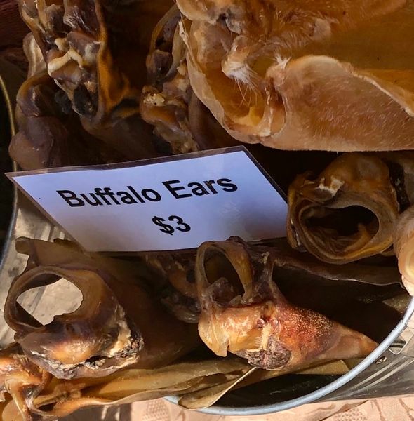 Buffalo ears dog top treats