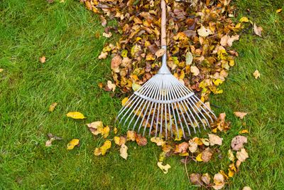 Fall Clean Up Service
fall colors
blowing
rake
debris
planting beds
leaves
leaf
seasonal weather