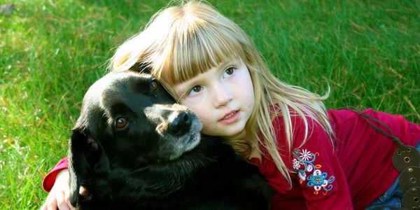 Pet Domestic Pet Waste Removal
