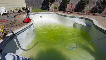 algae removal houston tx