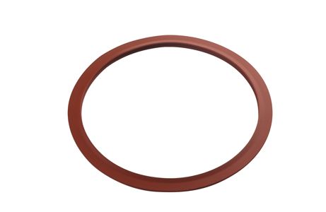 Pelton & Crane 10" OCR Door Gasket/Seal