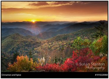 Escape to the Blue Ridge Parkway - SUSAN TREGONING PHOTOGRAPHY