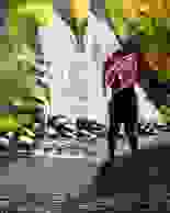 image46