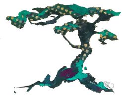 image33